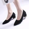 Fashion Pointed High Heels Square Heel Pumps Women Spring Autumn Shoes Woman Fashion Shallow Office Shoes Slip-On Wedding Ladies Shoe
