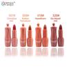 HengFang Velvet Matte Lipstick Set Not Easy To Fade Lip Makeup Cosmetic 3.5gx4