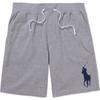 Polo FW23 Solid Color Equestrian Rider Pattern Straight Leg Casual Shorts Men Shorts Gray 710707980010
