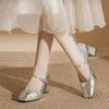 Silver Mary Jane High Heels: Women's Square Toe Retro Chunky Heel One-Strap Shoes for Spring and Autumn.