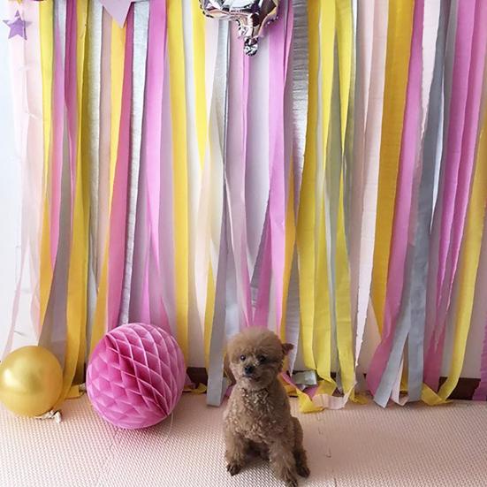 3 Roll Crepe Paper Cuttable Crepe Paper Streamers Backdrop Decor for Wedding