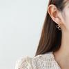 [Pretty] Flower Nickel-Clad Earrings (8957394)