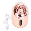 Face Steaming Machine Cold Hot Fine Mist Shrink Pores Deep Moisturizing Steaming Device USA Plug
