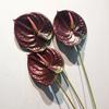 57CM Plastic Fake Single Stem Anthurium Artificial Flowers Artificial Anthurium