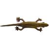 BH8141 HANSA Red-bellied Newt 23