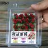 Material Fairy Garden Static Grass Tufts Sand Table Layout Scene Model Miniature Flower Cluster