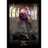 F1 Racer Collectible Series Poster Print Canvas Art Pictures Home for Living Room and Bedroom Wall Decor Frameless Painting