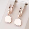 Gold Color Round Coin Inlay Zircon Pendant Earrings for Women Simple Fashion Party Jewelry