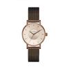 Watch VOLARE VINTAGE GOLD Mesh VO18VG002W Brown [KLASSE14] Women's