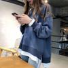 Loose Korean Version Fake Two-piece Long-sleeved Spring and Autumn Plush Plush Thickened Casual Sweatshirt Female Student Personality Top