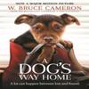 A Dogs Way Home by W. Bruce Cameron Paperback Book 9781529002690