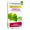 Arkopharma Arkogélules Bio Ginkgo 45 Gélules