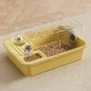 Large Hamster Cage Top Openable Guinea Pig Cages with Water Bottle Exercise Wheel