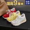 Small CM Inner Height-increasing Women's Shoes Autumn Retro Mesh Platform Casual Sports Shoes Forrest Gump Training Shoes