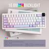 MechLands AJAZZ AK650 Gasket Mechanical Keyboard with TFT Screen and Wireless Gaming 5000mAh with Plate and and Certified by Technical Standards New!