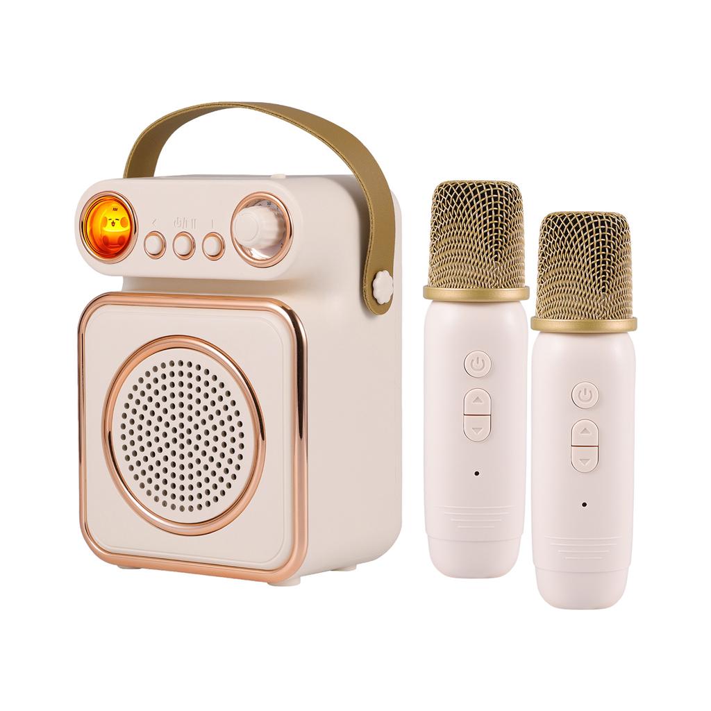 Mini Karaoke Machine Wireless Microphone and Speaker Set with 2 Microphone Rechargeable LED Color