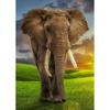 DIY Elephant 5D Diamond Painting Full Round Drill Animal Diamond Embroidery Cross Stitch Mosaic Kits Wall Art Gift Home Decor