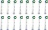 Braun Oral B Genuine Replacement Brush Basic Brush 16 Pieces Eco Package Version EB20RB-16 [Item]