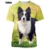 Fashion Cute Dog Unisex Animal Round Neck Casual Short Sleeve Popular Border Collie 3D Printed T-shirt Short Sleeve