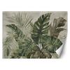 Wallpaper Tropical Monstera Leaves