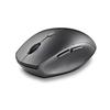 Souris Ergonomique - NGS - BEE BLACK - Sans Fil - Boutons Silencieux - DPI Réglable 800/1200/1600