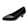 Fashion 2024 Spring Fall Stylish and Comfortable Mid-heel Pointed Toe Women's Single Shoes