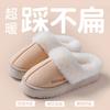 Plush Cotton Slippers 2025 New Autumn and Winter Home Indoor Thick-soled Non-slip Velvet Warm Cotton Shoes