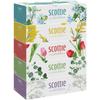 Scotty Flower Box, Long-Lasting Tissues, 500 Sheets (250 Pairs), 5 Boxes