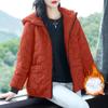 Women's Hooded Cotton Jacket Thin Women's Clothing Winter Thicken Warm Fashion Loose Solid Color Zipper Jacket Commuting Harajuku Style