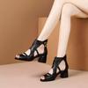 Fashion Soft Sandals Woman ,Summer High Heels Shoes ,Sexy Hollow Out ,Peep Toe ,Rome Style ,Black ,Brown ,Beige ,Dropship