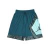 Jumpman Diamond Mesh Panel Basketball Shorts Men Bottoms Blue Green AV3207-347