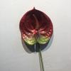 57CM Plastic Fake Single Stem Anthurium Artificial Flowers Artificial Anthurium