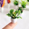 Puntos Mini Doll House Ature Mini Potted Plants Model Fairy Garden Decoration Ornaments