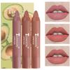 TEAYASON 3Pcs Set Matte Velvet Lipstick Pen Long Lasting Nude Lip Gloss Pencil Delicate Smooth Waterproof  Lip Tint