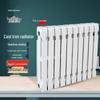 Shan Da Rui Column Fin Cast Iron Radiator