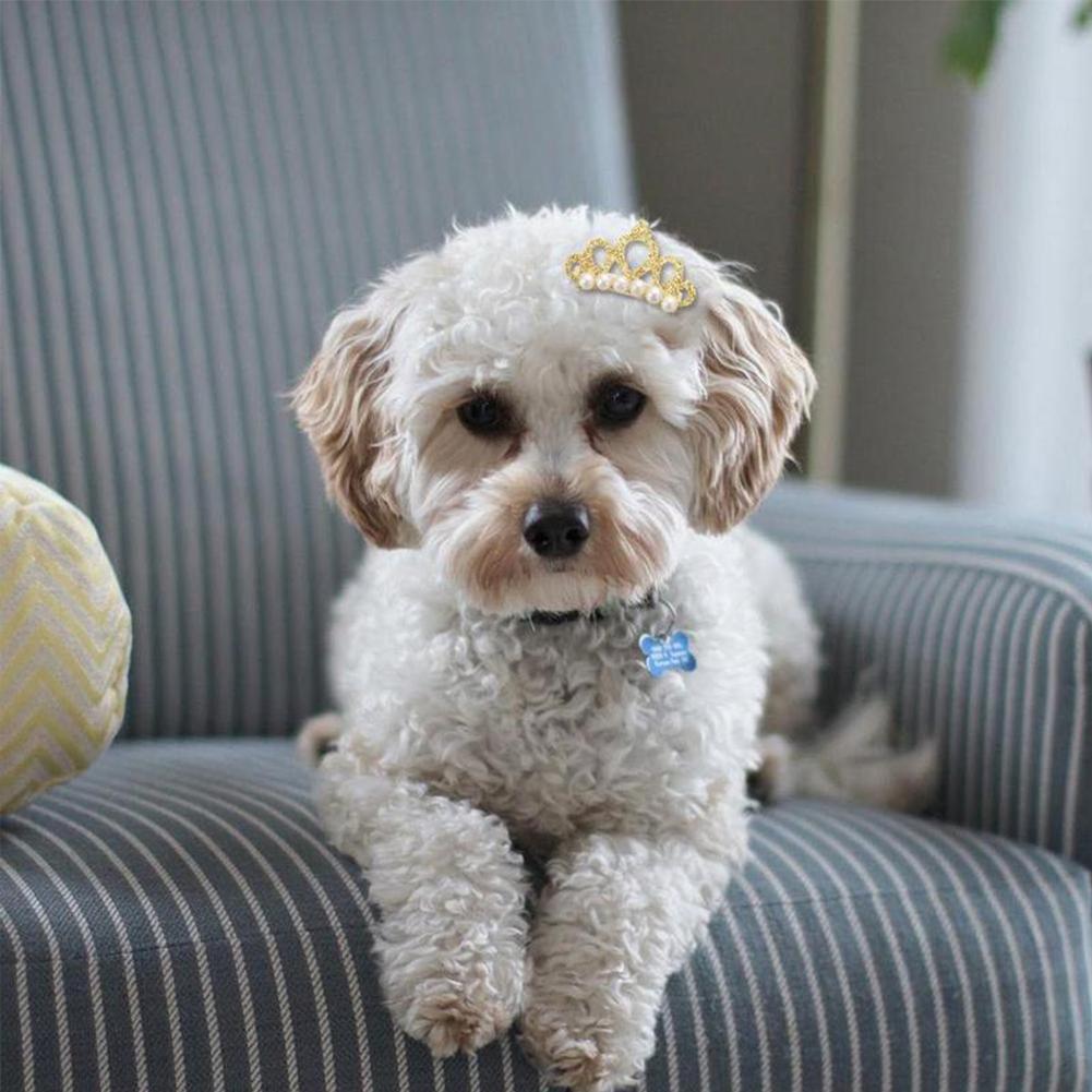 Headdress Cat Grooming Pet Headwear Puppy Accessories Hair Dog Bow-tie Flower Bowknot Pet Clip L4D6