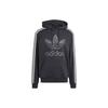 Adidas Originals Classic Mono Graphic Hoodie Men Hoodies Black IS2933