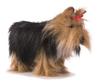 HANSA Animal Plush Toy Yorkshire Terrier No.5909