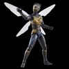 Hasbro Marvel Legends Series Wasp, Ant-Man and the Wasp: Quantumania 6-inch (15cm) Action Figure, Ages 4 and Up, F6574, Authentic
