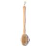 Bathroom Body Brushes Long Handle Bath Natural Bristles Brushes Exfoliating Massager With Wooden Handle Dry Brushing Shower Tool
