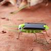 Fun Solar Power Robot Insect Locust Grasshopper Kids Toy