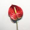57CM Plastic Fake Single Stem Anthurium Artificial Flowers Artificial Anthurium