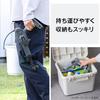TV Broadcast Product [.co.jp Only] Iris Ohyama Rechargeable Handy Washer Cleans with Higher Pressure Than Tap Water (non-high Pressure Washer) Cordles