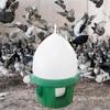 Pigeon Drinker Bird Water Feeding Bucket,Pet Pot,Dove for Chicken Farm