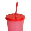 Color Changing Plastic Tumbler with Straw 24oz Reusable Cold Water Cup Leak-Proof Stackable Drinkware for Indoor Outdoor Use