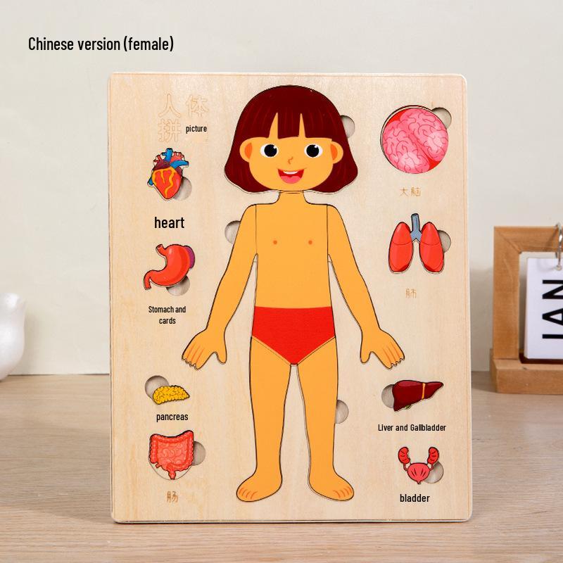 Wooden Human Anatomy Puzzle: Toddler Educational Toy for Self-Awareness and Science Learning