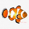 Fish Clown Iron On Heat Transfer Printing Vinyl Patches Sticker for Clothes DIY Appliques Washable Patches