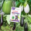 Tomato Eggplant Vegetable Fast Growing Plant Food Fertilizer