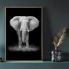 Black and White Modern Minimalist Animal Art Poster Lion Elephant Giraffe Canvas Painting Home Decor Wall Art