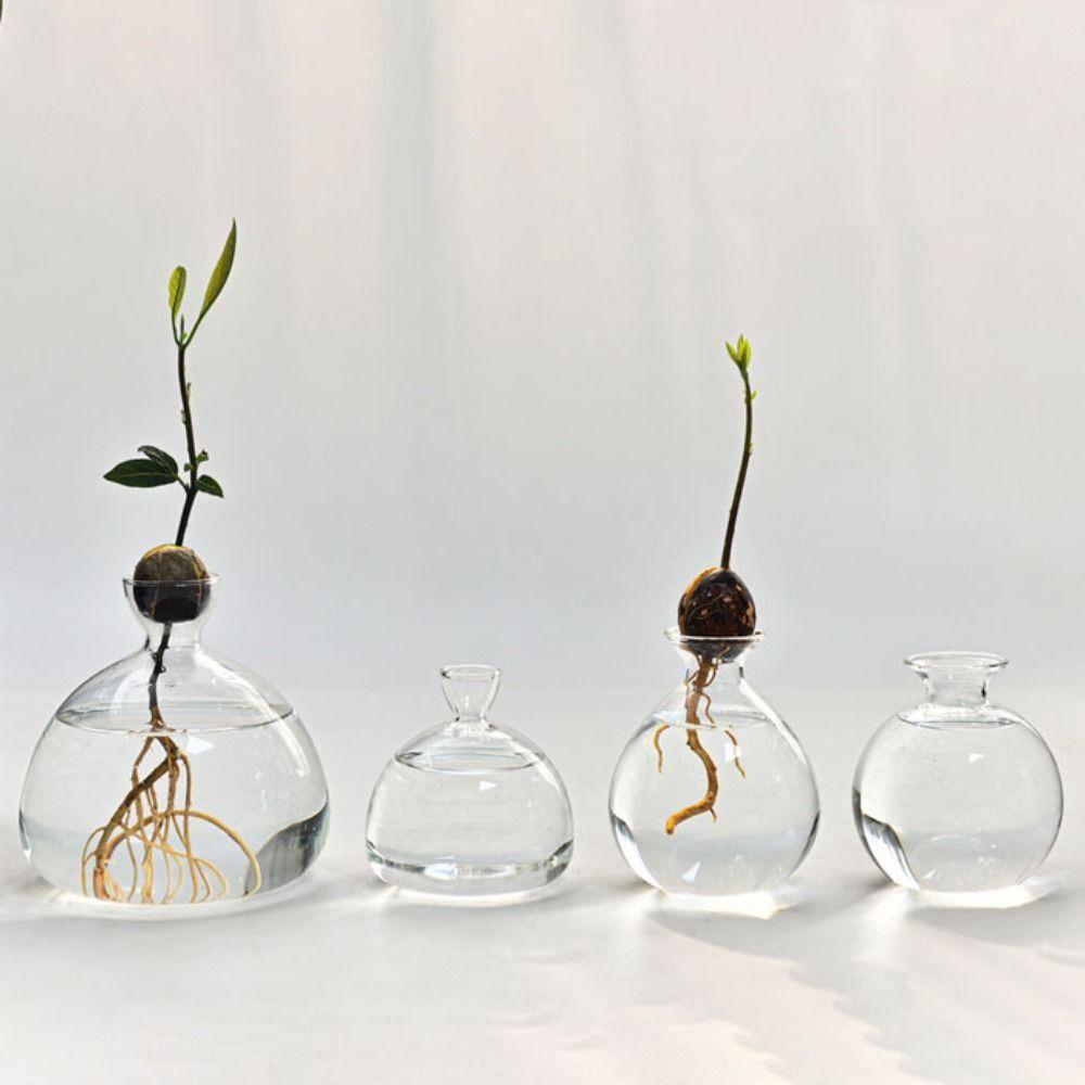 High-grade Japanese Hydroponic Vase Heat Resistant Special Vase Pot  Holidays Gift